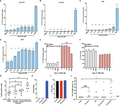 Activation of the Anti-Oxidative Stress Response Reactivates Latent HIV-1 Through the Mitochondrial Antiviral Signaling Protein Isoform MiniMAVS